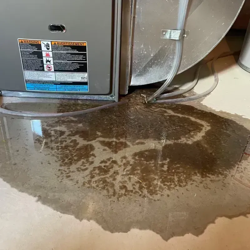 Appliance Leak Cleanup in Hudson, IL